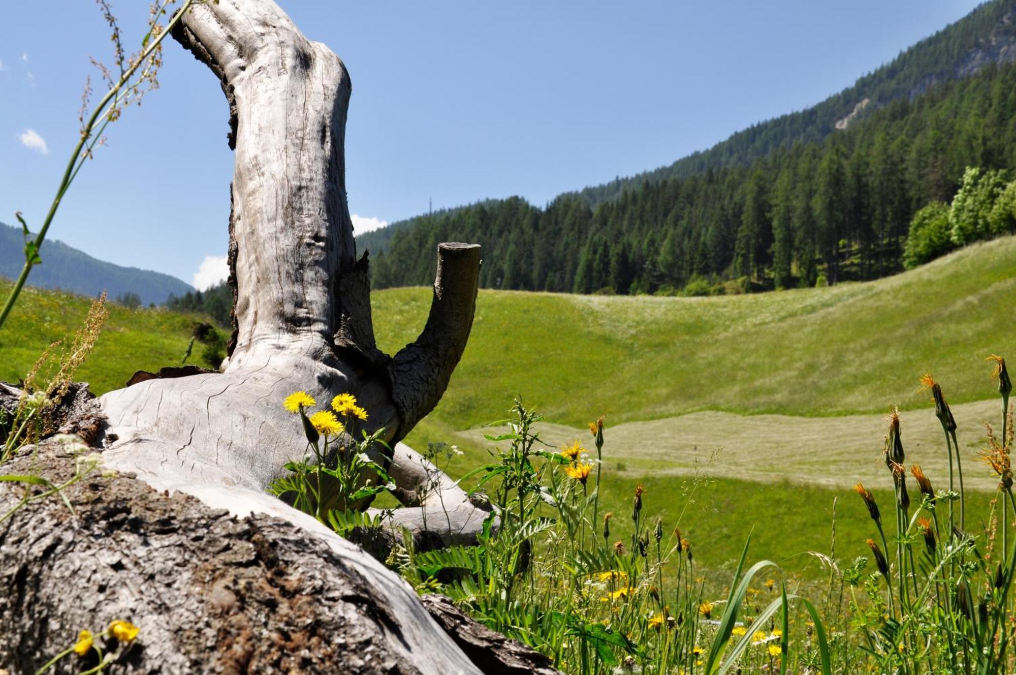 Guesthouse Rungg Badia (South Tyrol) Dış mekan fotoğraf